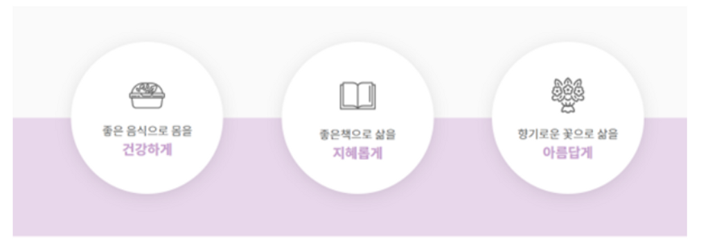 스노우폭스 그룹과 미션